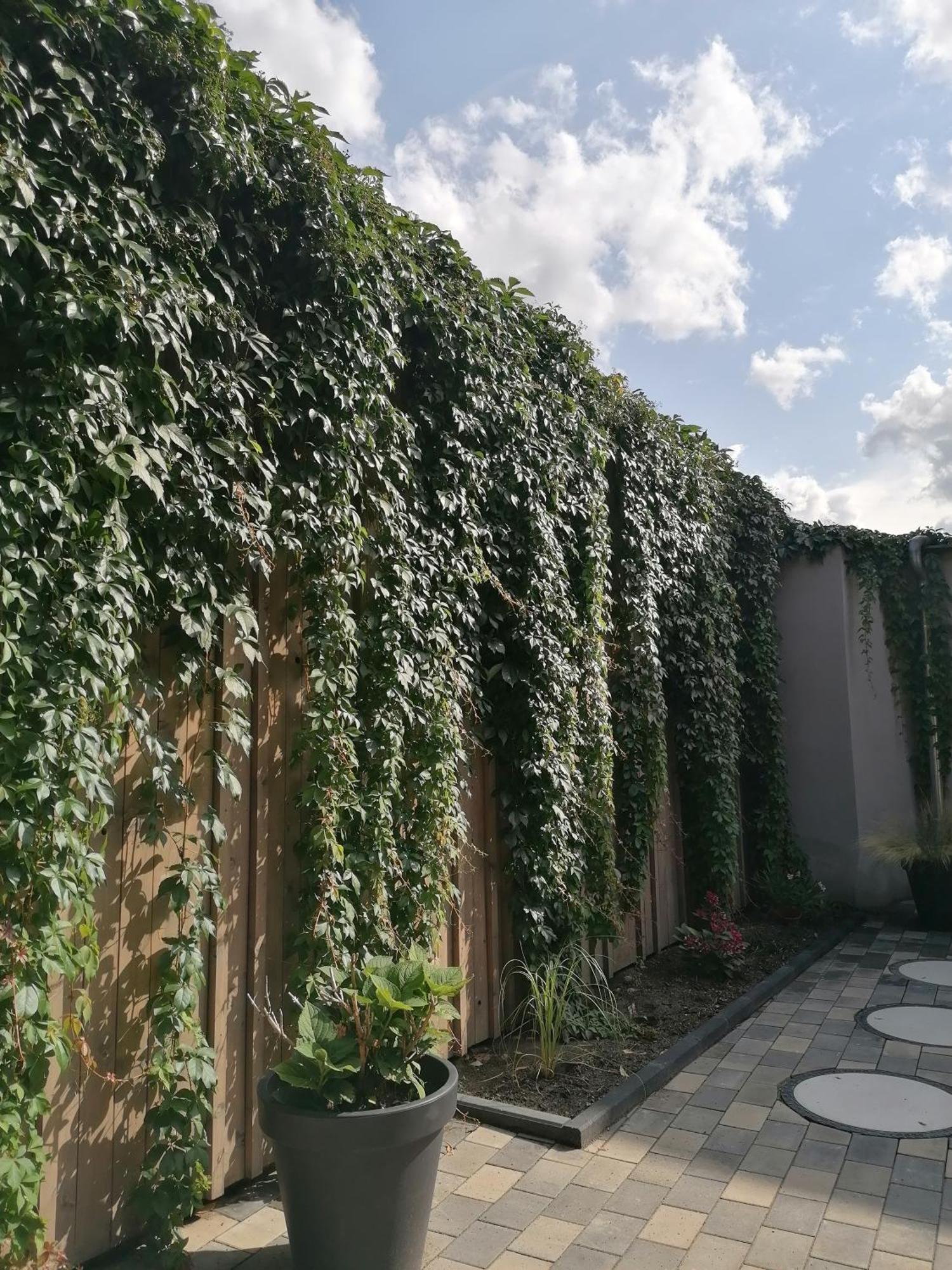 Ackerbuergerhof Ballstrasse 18 เควดลินบวร์ก ภายนอก รูปภาพ